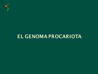 2.1-2.3 El genoma procariota (1).pdf