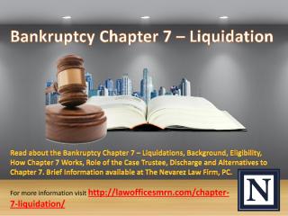 Bankruptcy Chapter 7 – Liquidation.pdf