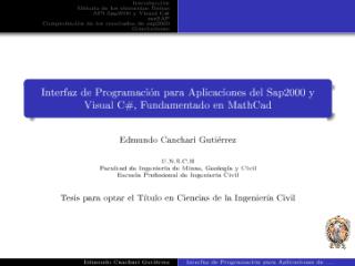 API Sap2000 Tesis - Presentación.pdf