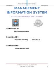 Types of Information System BBAe2006-03.docx